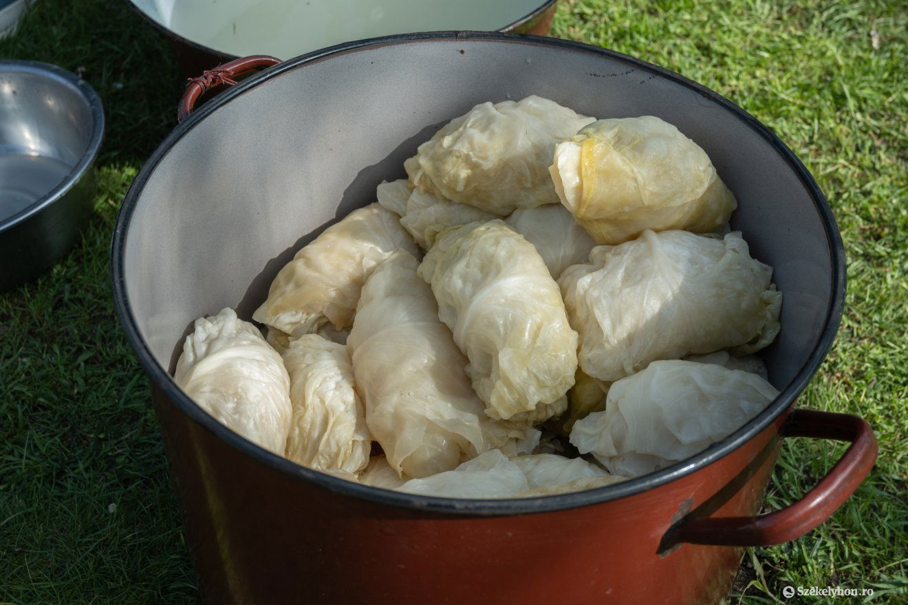 •  Fotó: Borbély Fanni