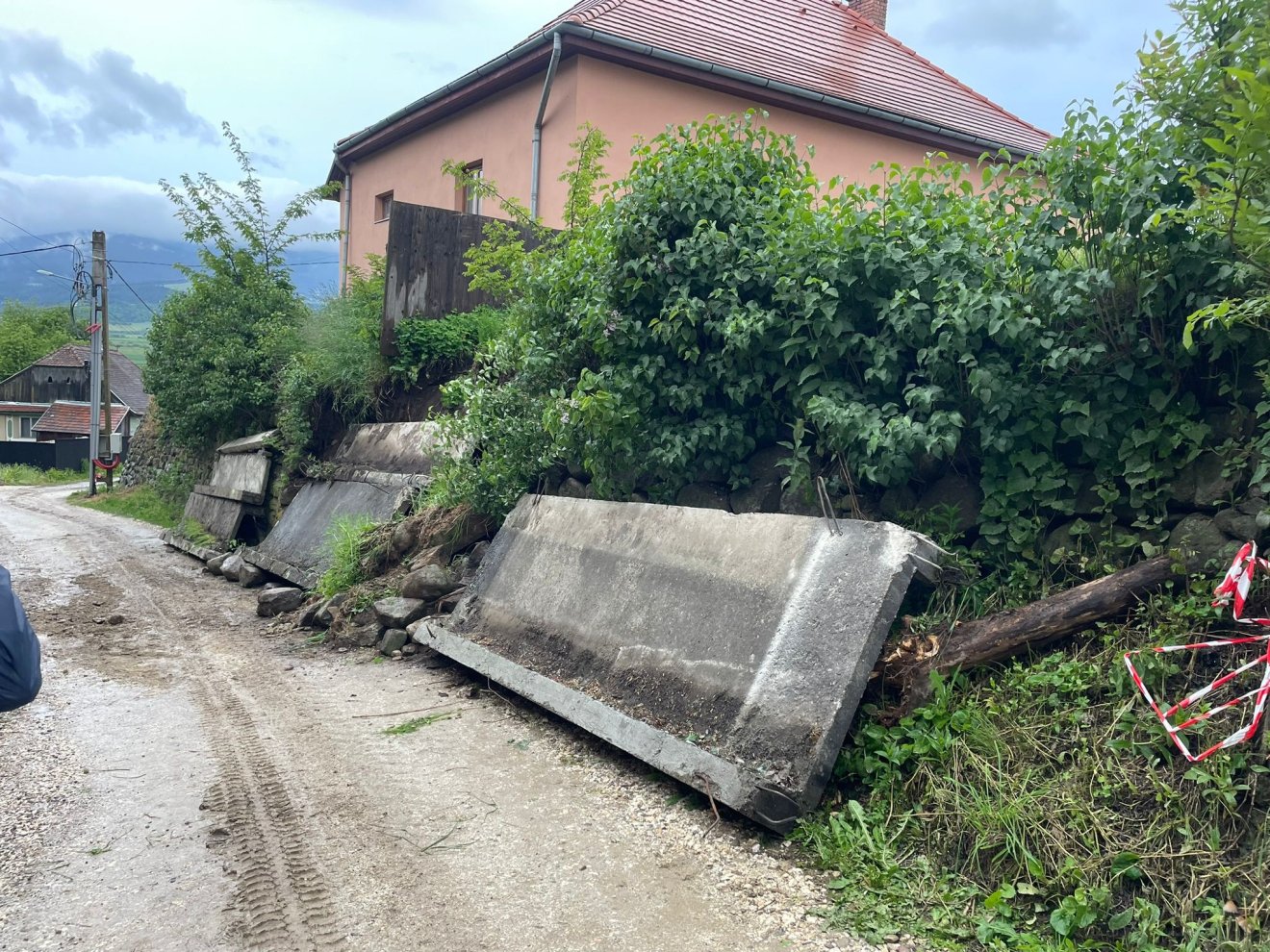 •  Fotó: Kozma István