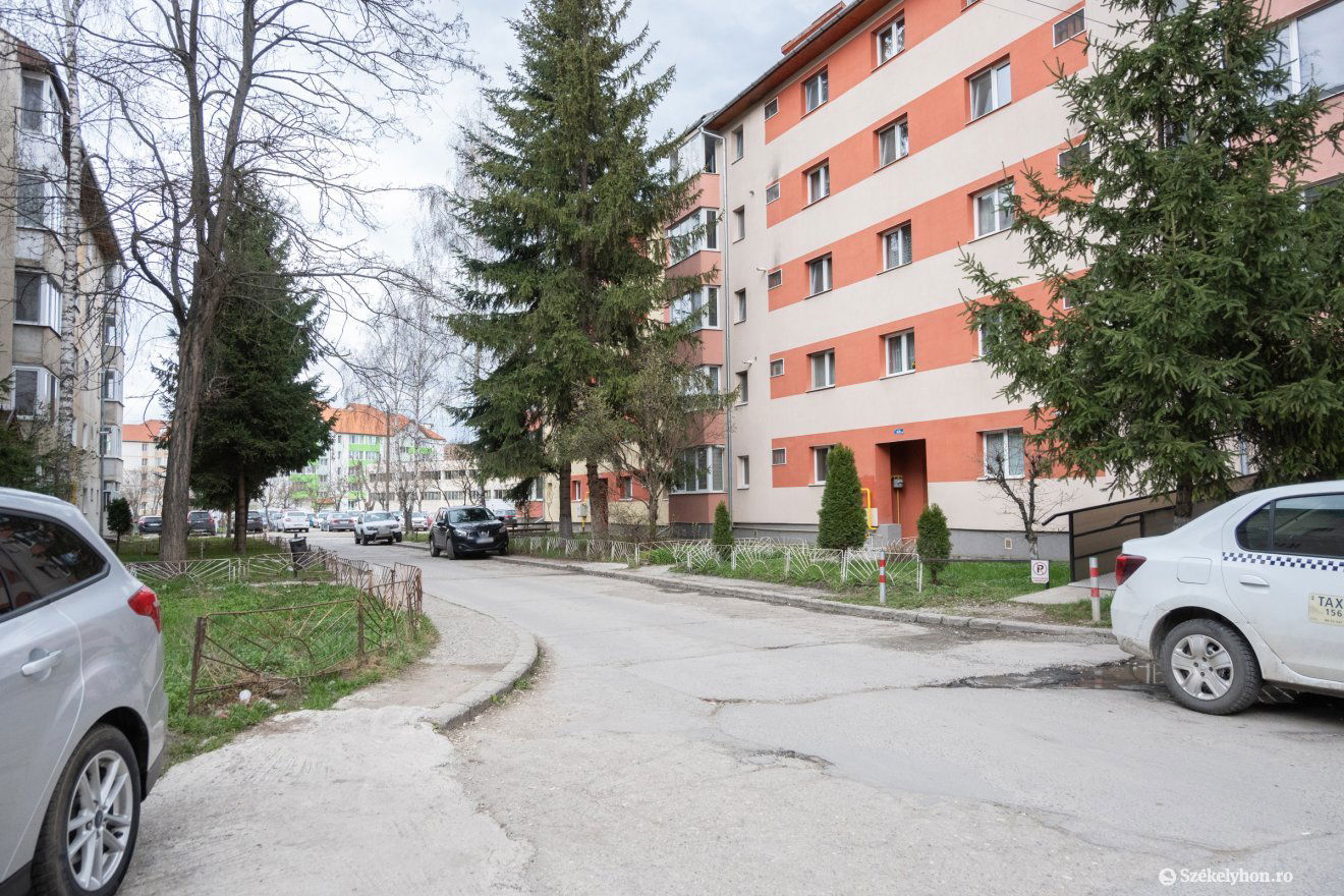 •  Fotó: Borbély Fanni