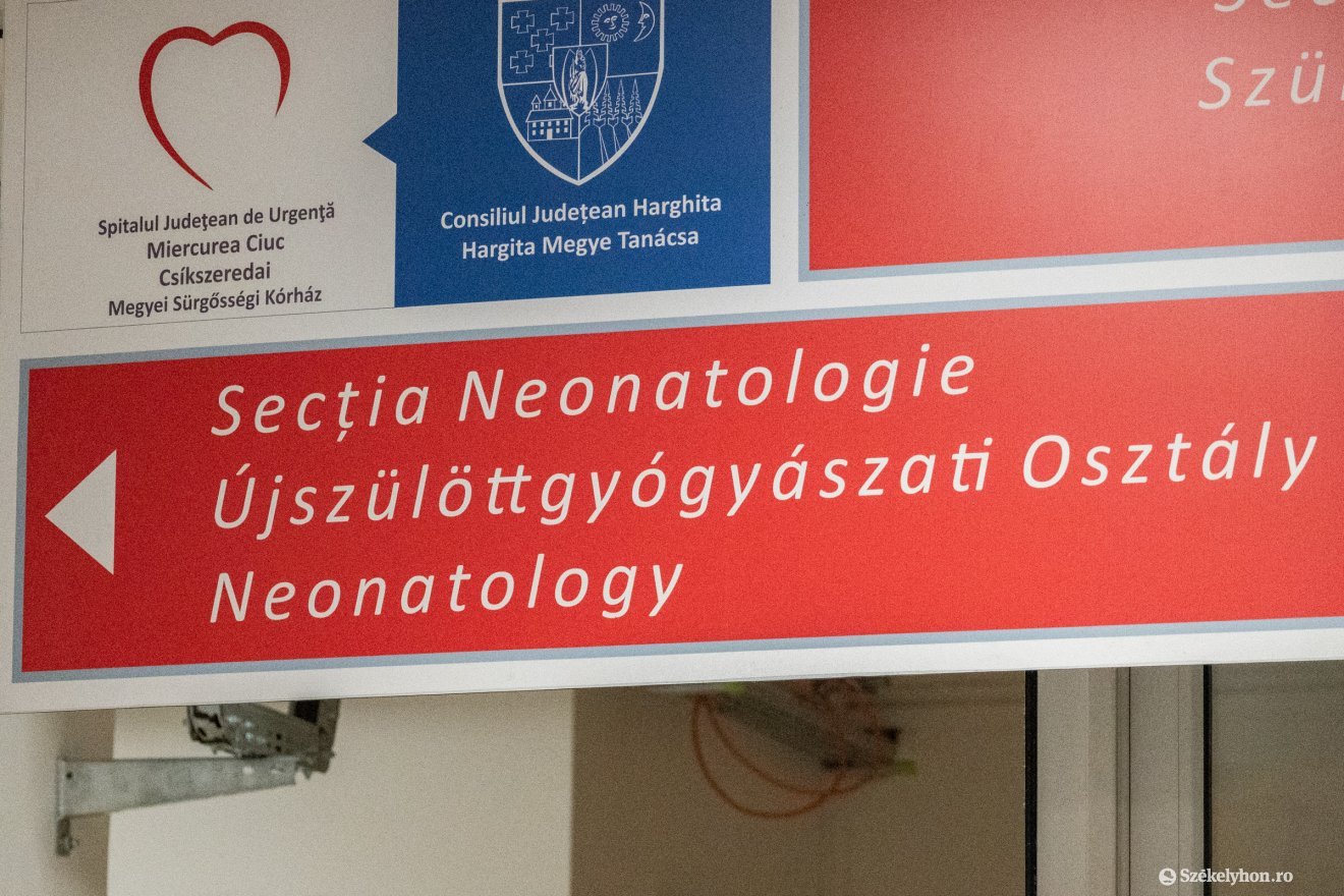 &bullet;  Fotó: Borbély Fanni