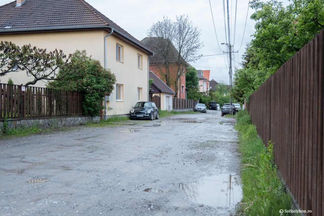 •  Fotó: Borbély Fanni