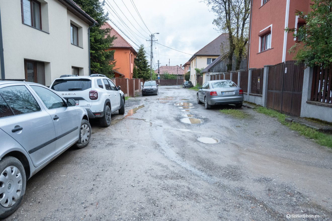 •  Fotó: Borbély Fanni