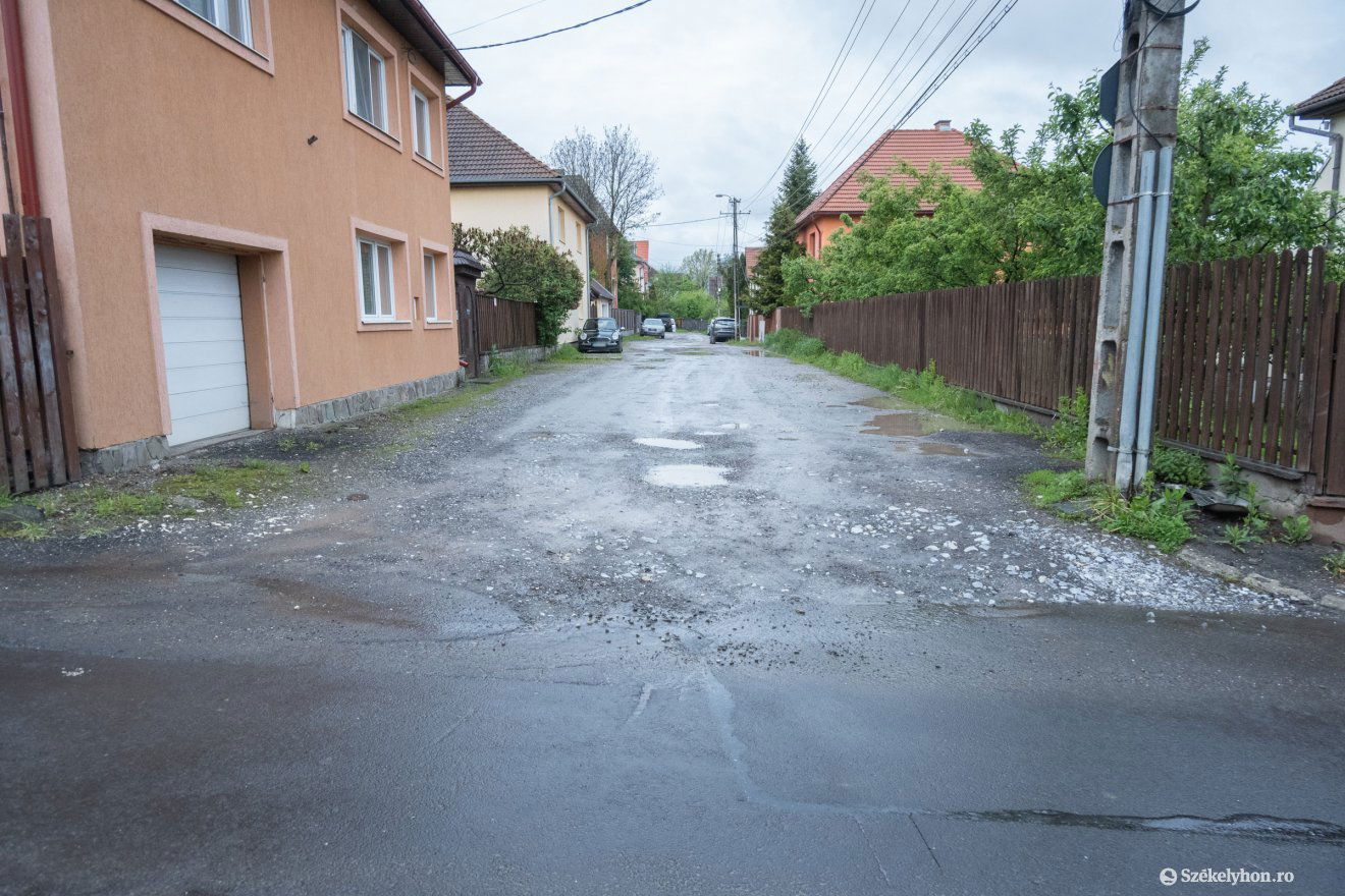 •  Fotó: Borbély Fanni