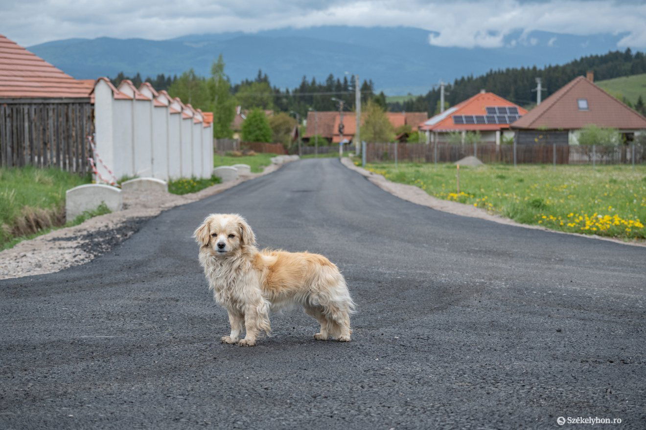 •  Fotó: Borbély Fanni