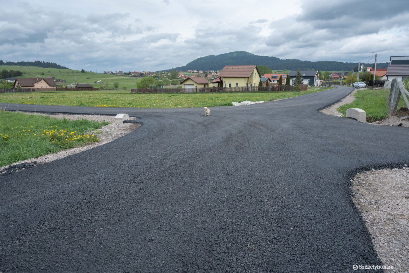 •  Fotó: Borbély Fanni