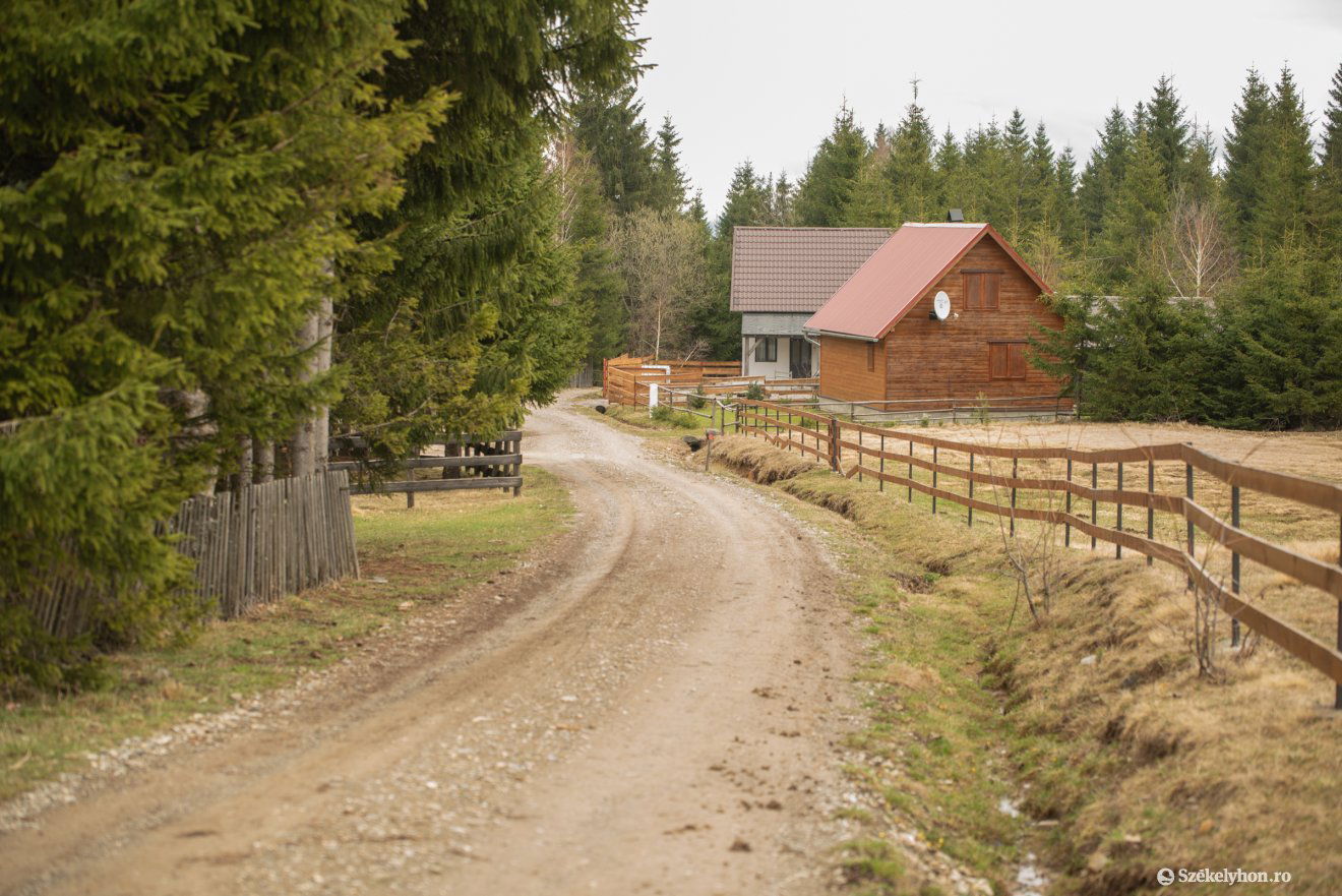 •  Fotó: Borbély Fanni