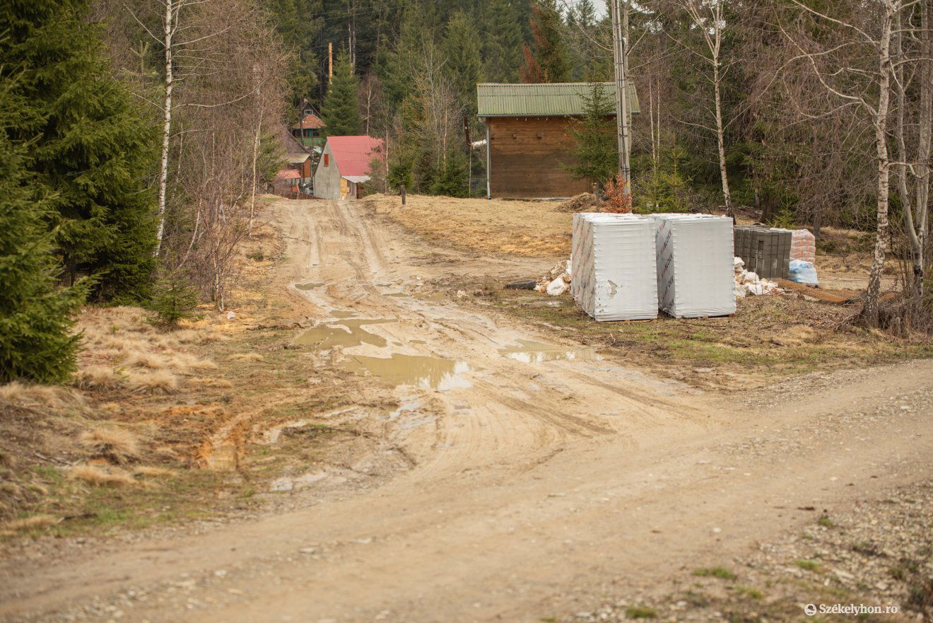 •  Fotó: Borbély Fanni