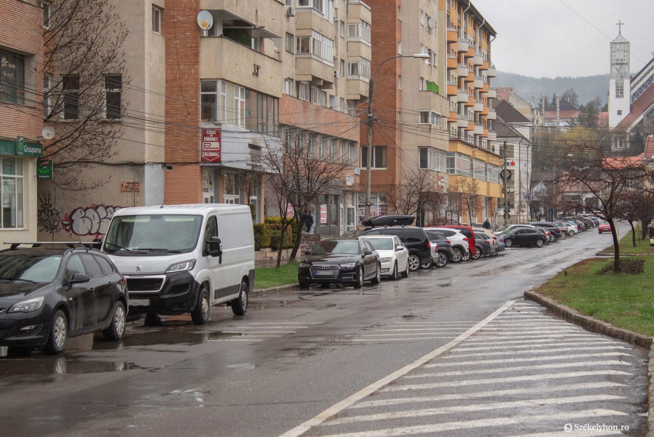•  Fotó: Borbély Fanni