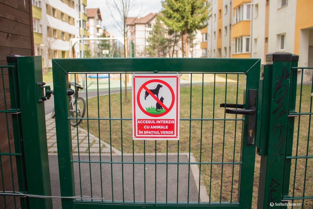 •  Fotó: Borbély Fanni