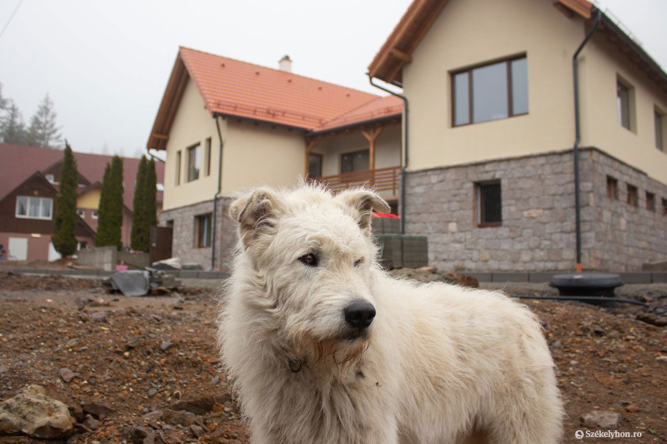 •  Fotó: Borbély Fanni