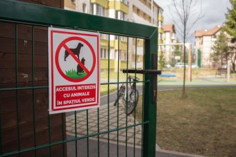 Bántalmazásig fajuló konfliktus egy kutyatartó és lakótelepi szomszédja között