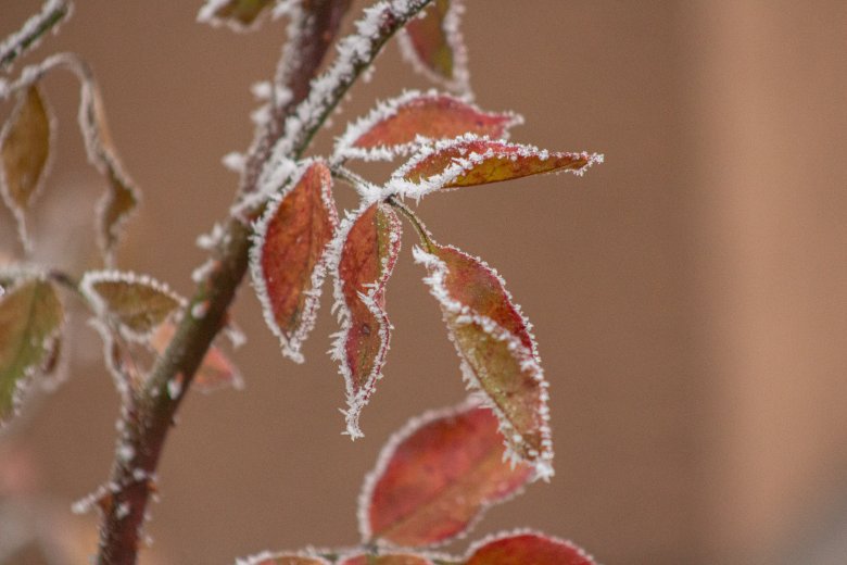 Véget ér a novemberi enyheség – fagyos hajnalokkal köszön be a jövő hét