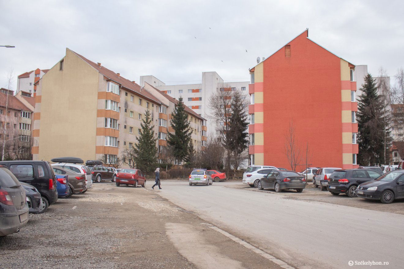 •  Fotó: Borbély Fanni