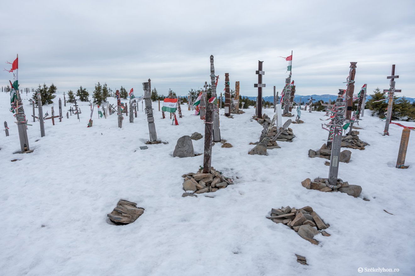 A kopjafák egyelőre a helyükön maradnak •  Fotó: Pinti Attila