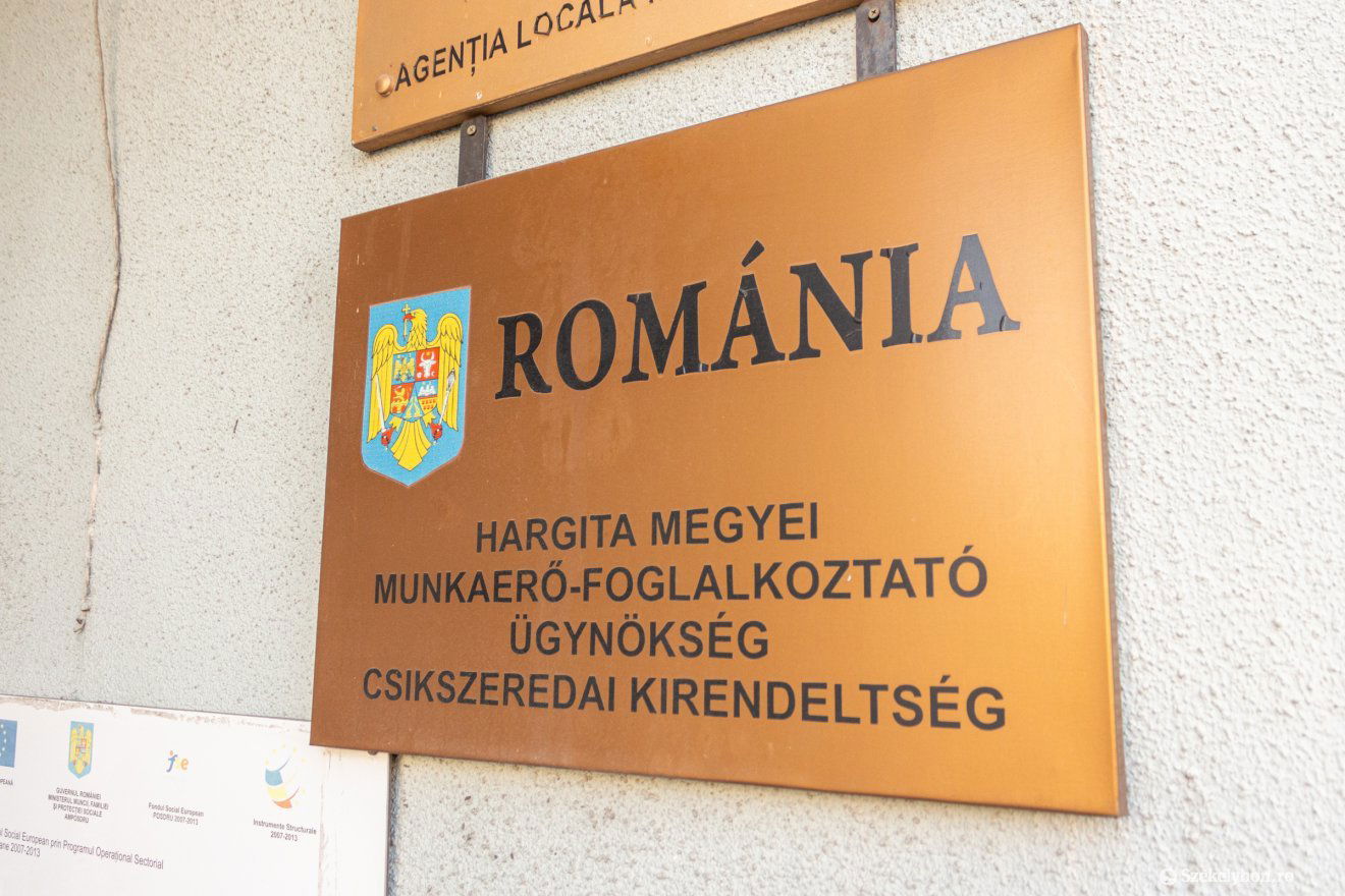 •  Fotó: Borbély Fanni
