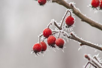 Fagyos volt a reggel a Székelyföldön