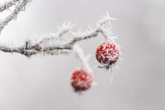 Megdőlt a hidegrekord Csíkszeredában