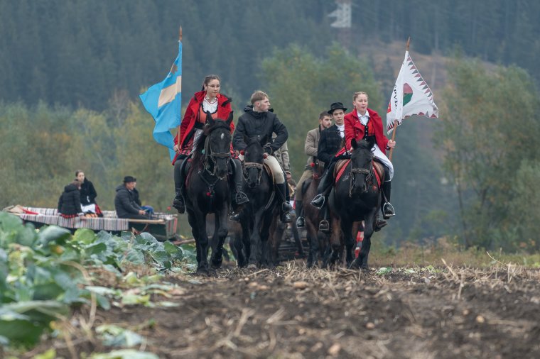 Régi szokás, friss termés a szépvízi káposztavásáron