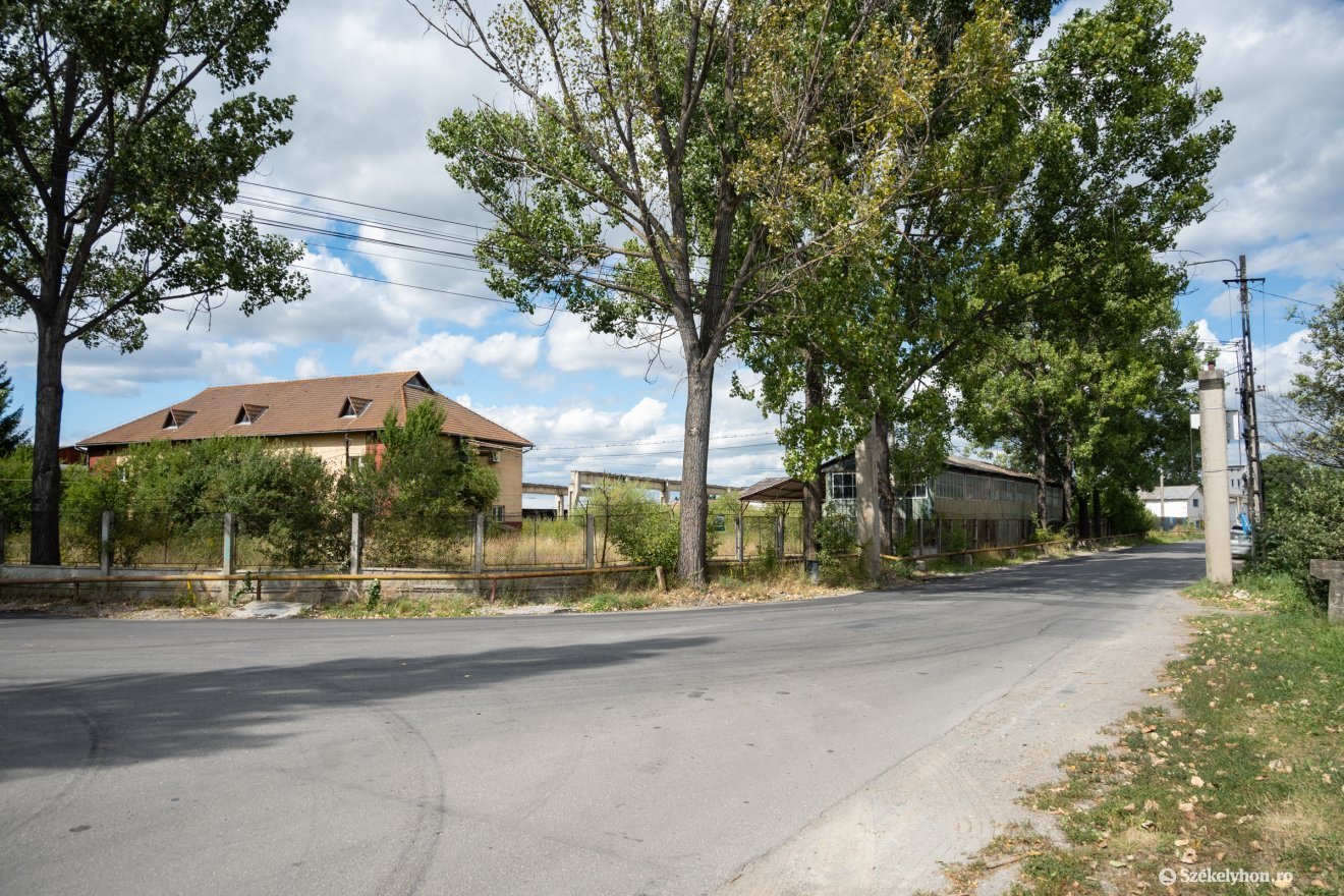 &bullet;  Fotó: Borbély Fanni