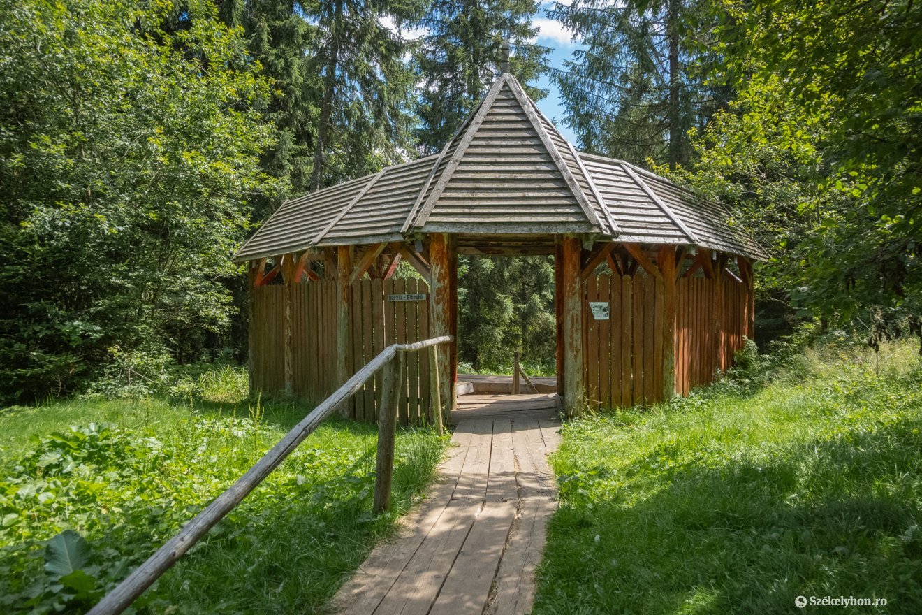 &bullet;  Fotó: Borbély Fanni