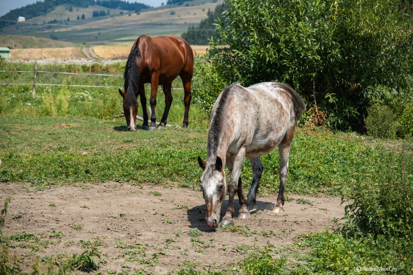&bullet;  Fotó: Borbély Fanni