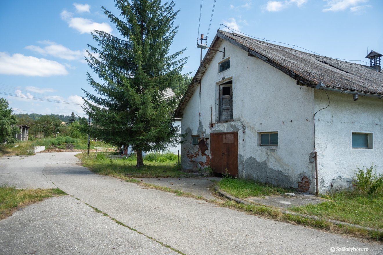 &bullet;  Fotó: Borbély Fanni