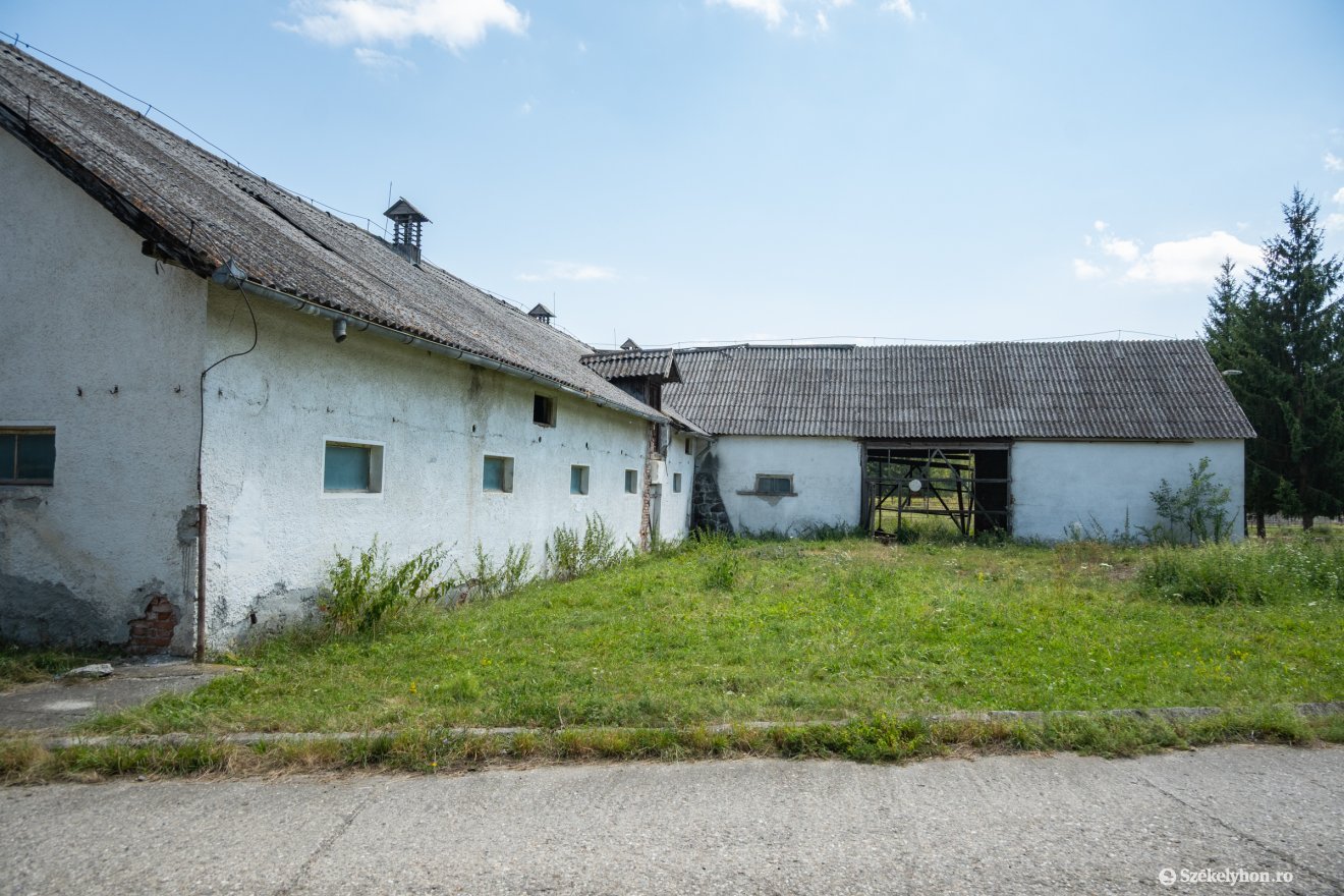 &bullet;  Fotó: Borbély Fanni