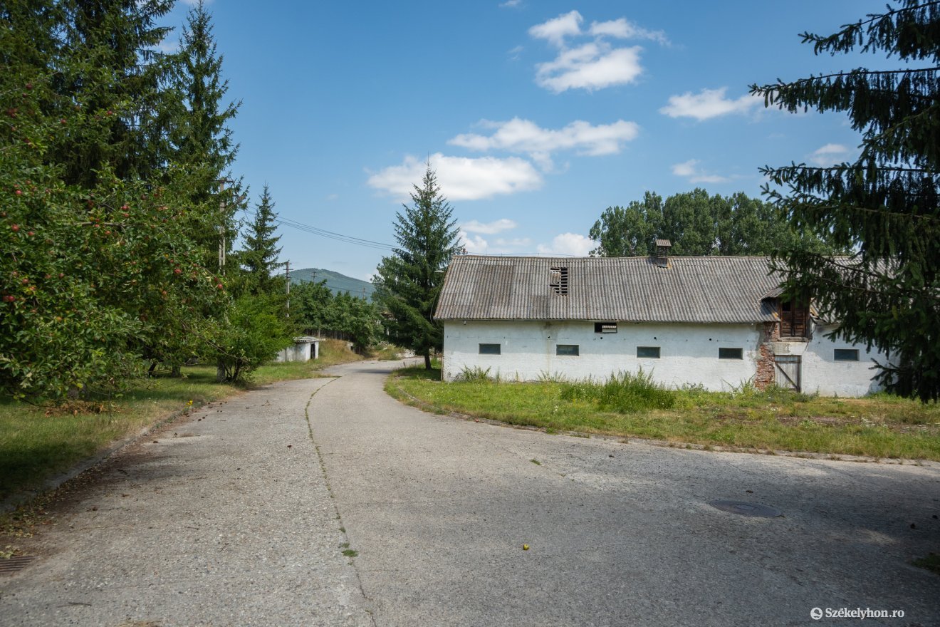 &bullet;  Fotó: Borbély Fanni