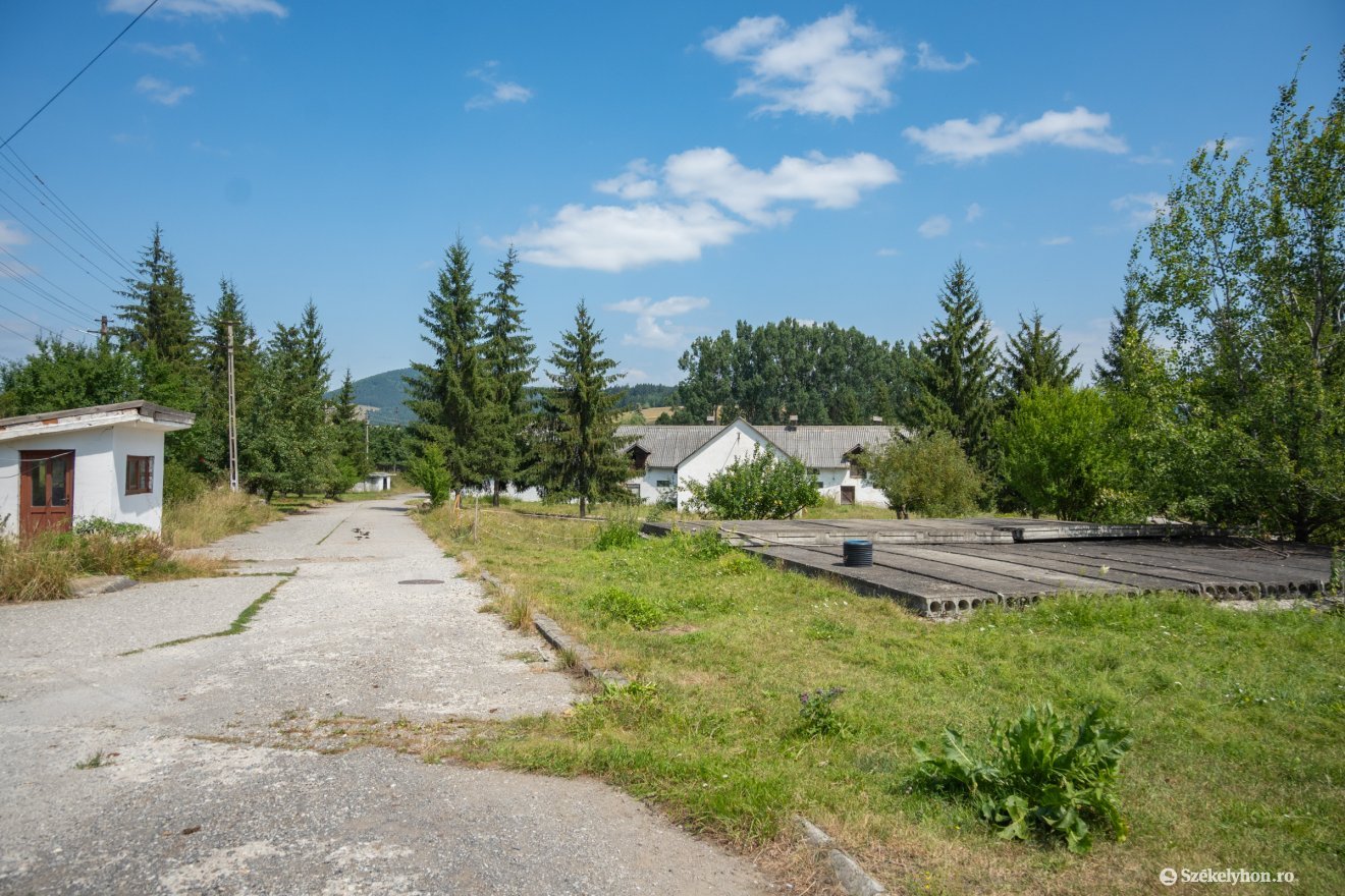 &bullet;  Fotó: Borbély Fanni