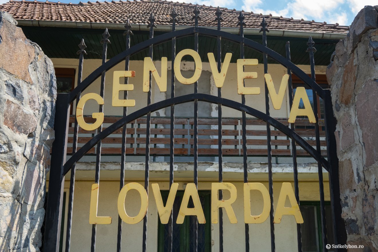 &bullet;  Fotó: Borbély Fanni
