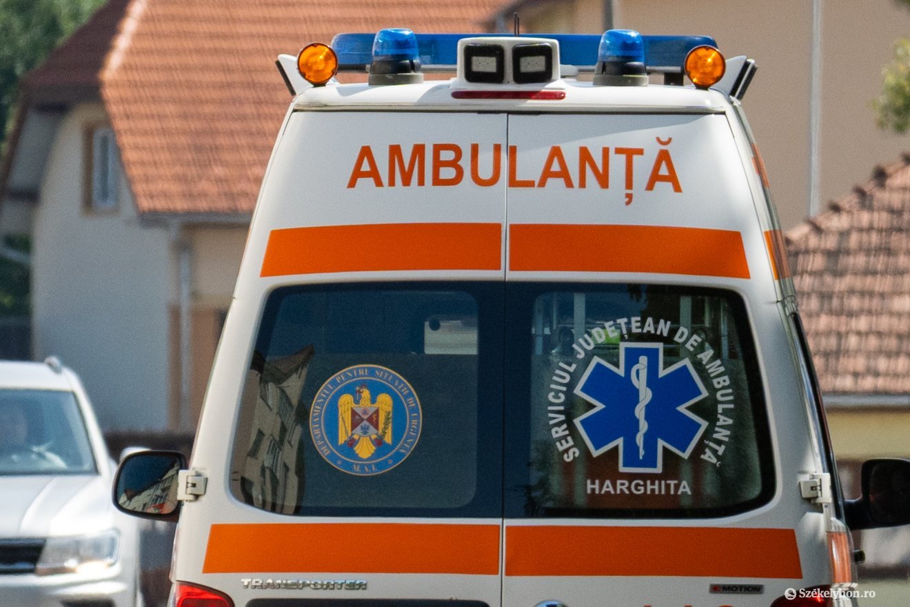 Képünk illusztráció &bullet;  Fotó: Borbély Fanni