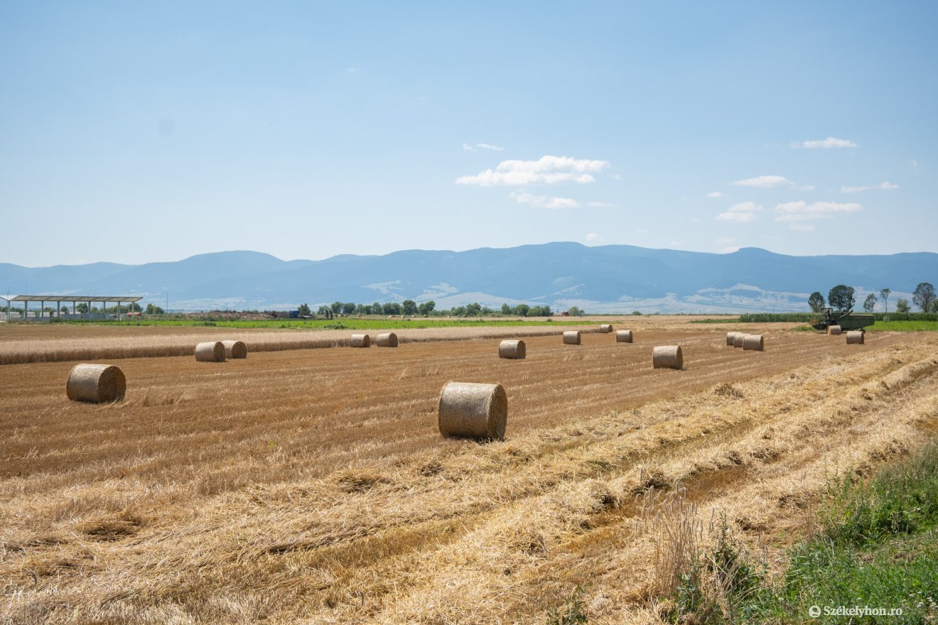 &bullet;  Fotó: Borbély Fanni