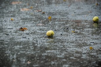 Helyenként jelentős mennyiségű eső hullhat