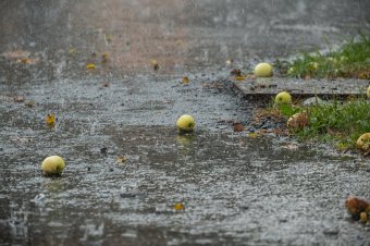Délen kánikula, nálunk vihar – időjárási kilátások mára