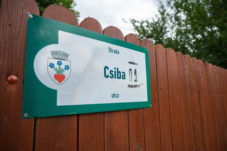 Medvét láttak Csibában