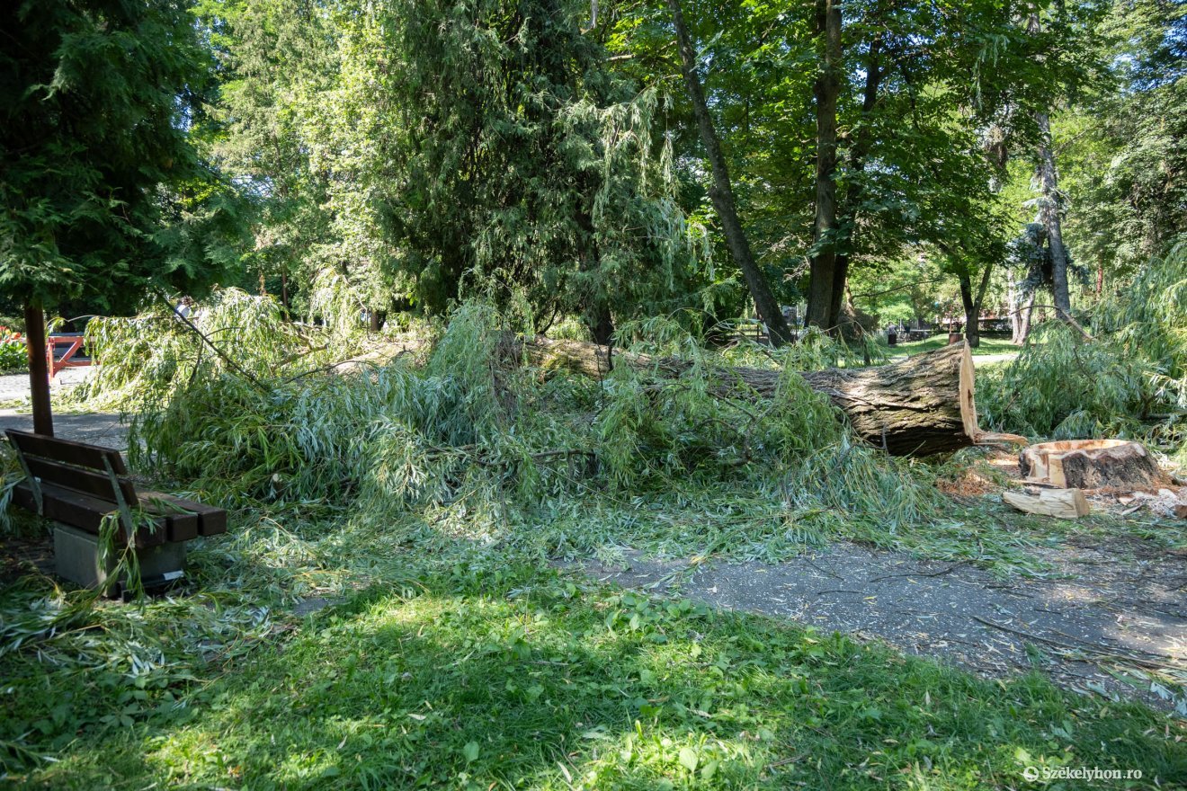 &bullet;  Fotó: Borbély Fanni