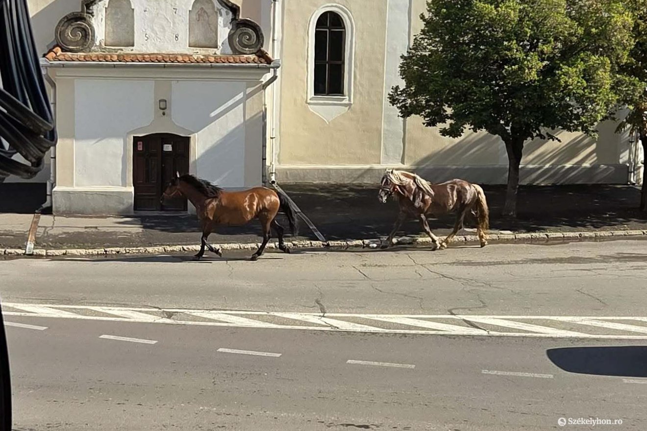 &bullet;  Fotó: Olvasói felvétel