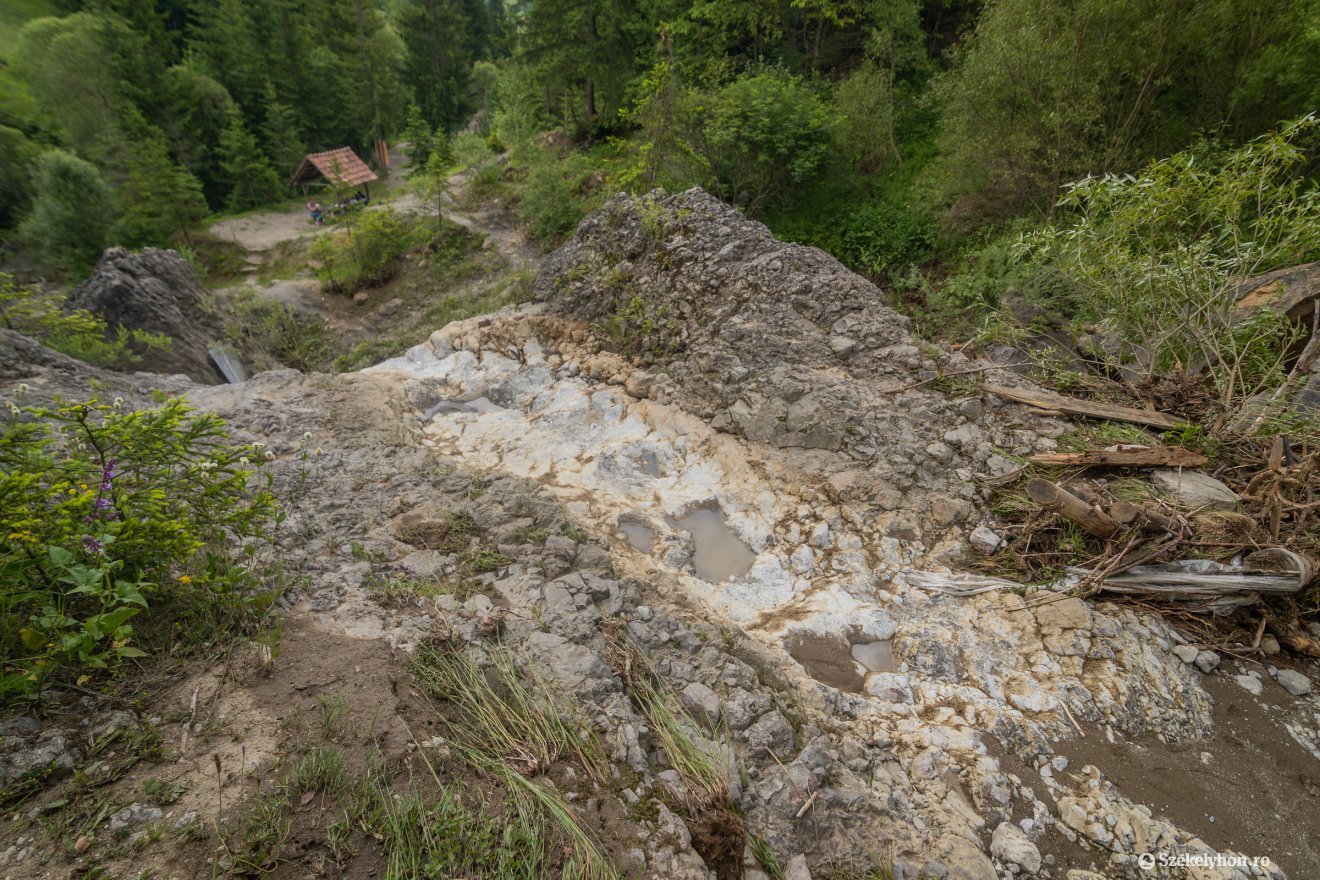 &bullet;  Fotó: Pinti Attila