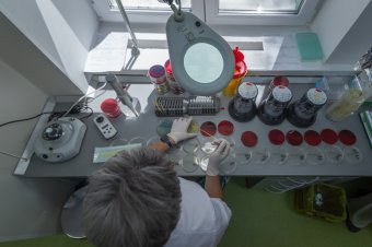 Már évi 740 ezer vizsgálatot végeznek, új helyre költözött a csíkszeredai kórház laboratóriuma