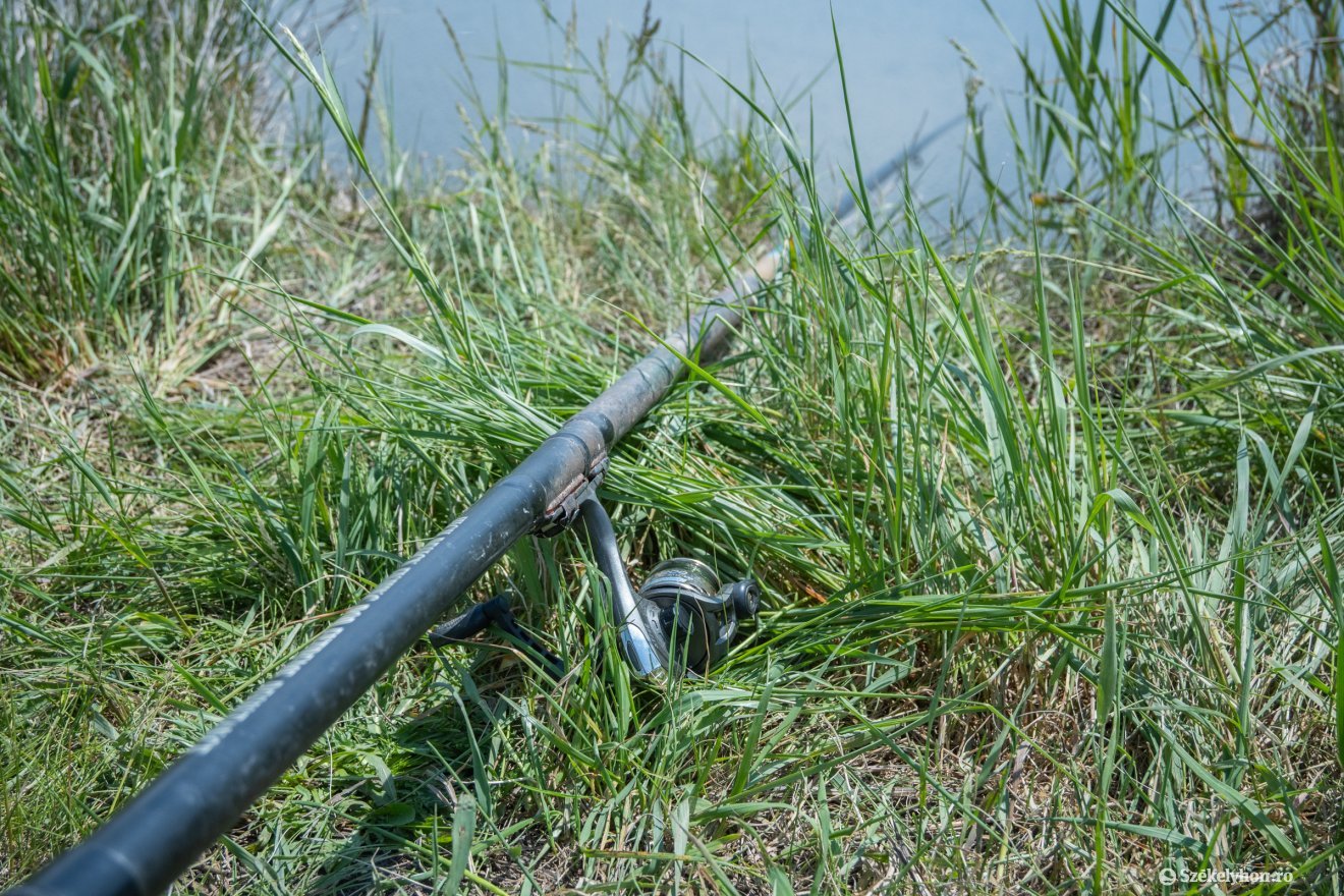 &bullet;  Fotó: Borbély Fanni
