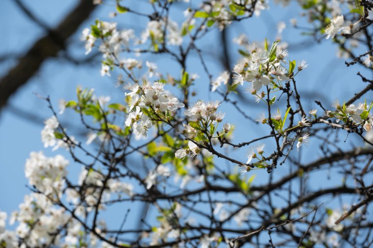 Egy kis felmelegedés, egy kis lehűlés – ez áll most előttünk