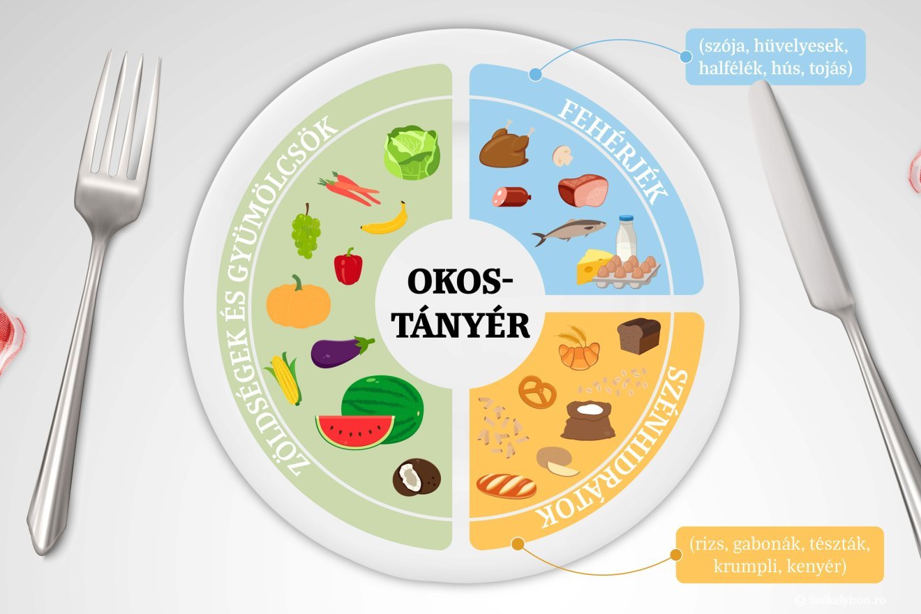 A dietetikusok által ajánlott kiegyensúlyozott tányér &bullet;  Fotó: Csáki Ferencz