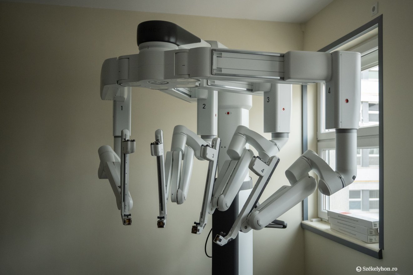 &bullet;  Fotó: Borbély Fanni