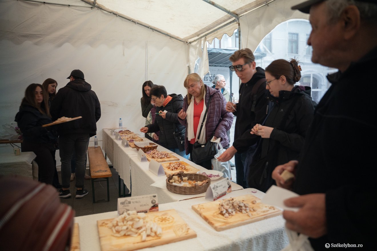 &bullet;  Fotó: Borbély Fanni