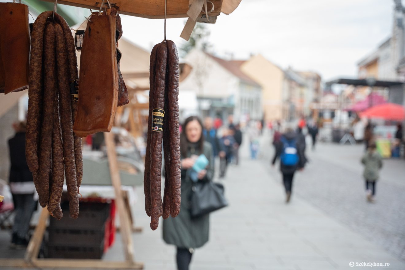 &bullet;  Fotó: Borbély Fanni