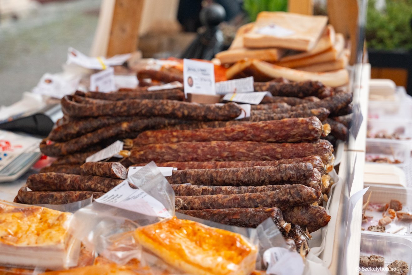 &bullet;  Fotó: Borbély Fanni