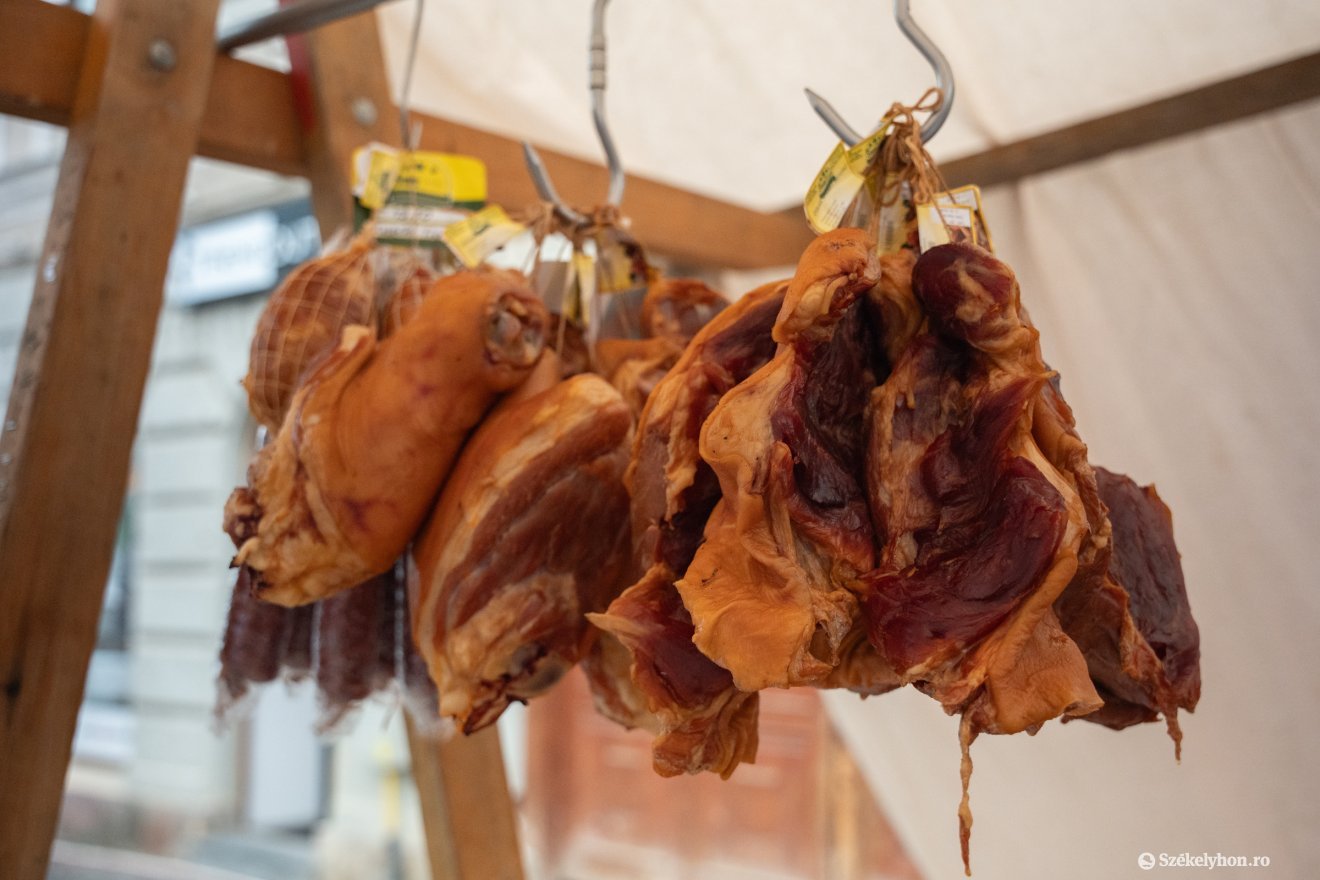 &bullet;  Fotó: Borbély Fanni