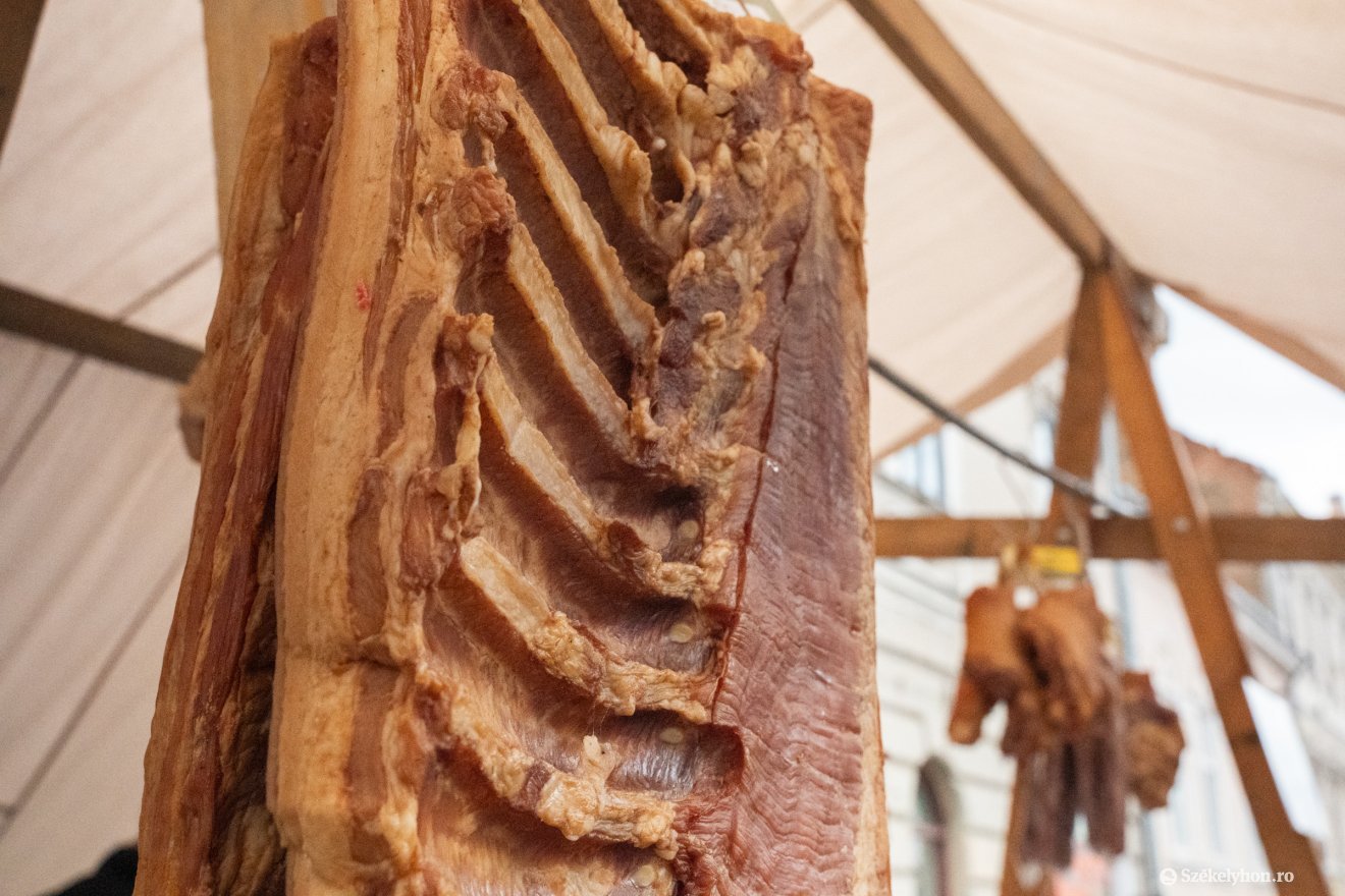 &bullet;  Fotó: Borbély Fanni