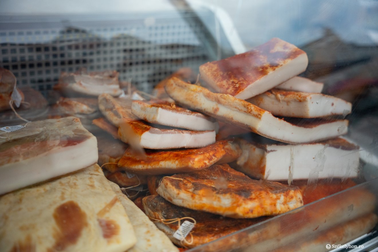 &bullet;  Fotó: Borbély Fanni