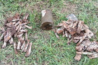 Gyalogsági töltényeket találtak Csíkszentkirályon